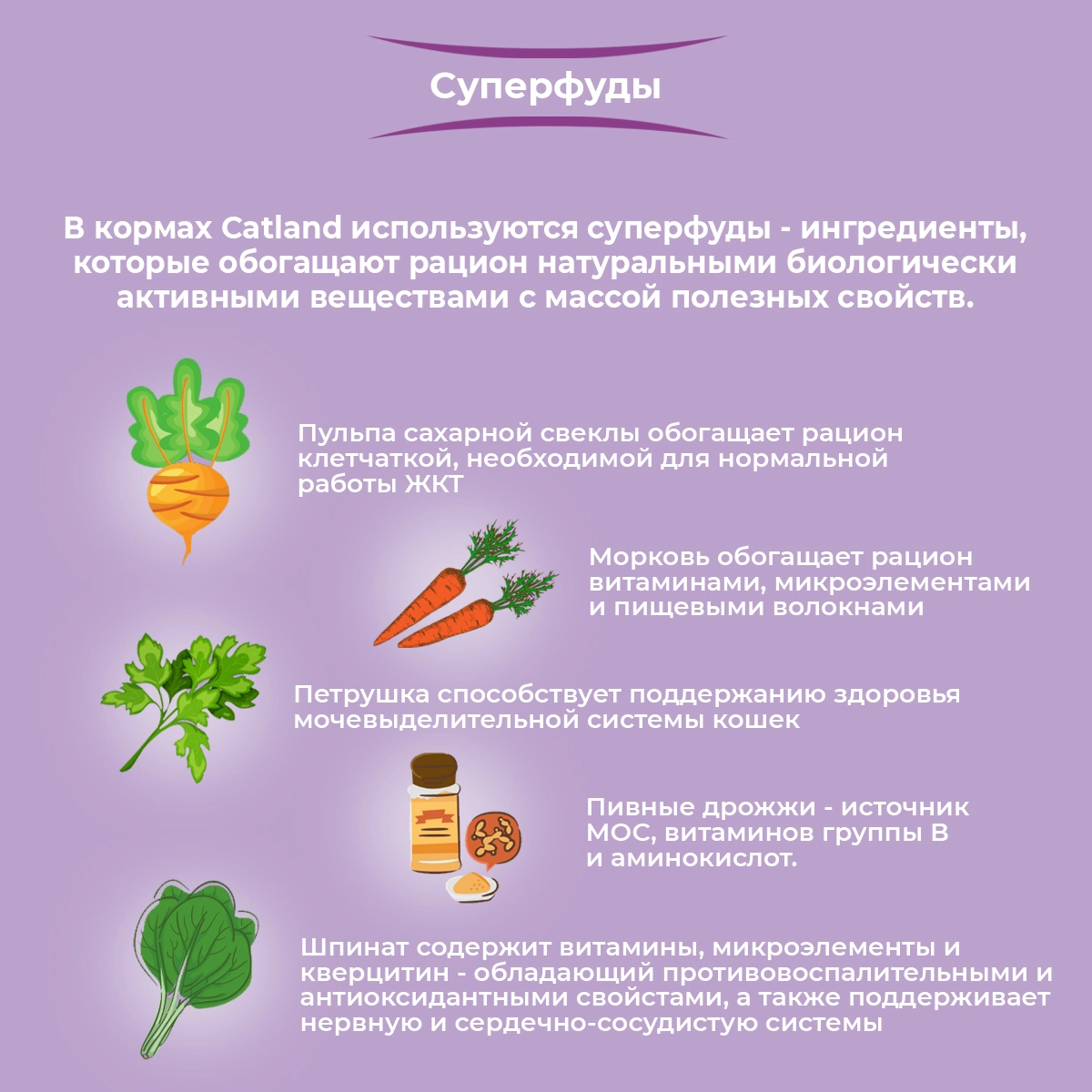 Catland полнорационный с курицей и уткой сухой корм для кошек купить с  доставкой по Москве и России — интернет-зоомагазин Афина