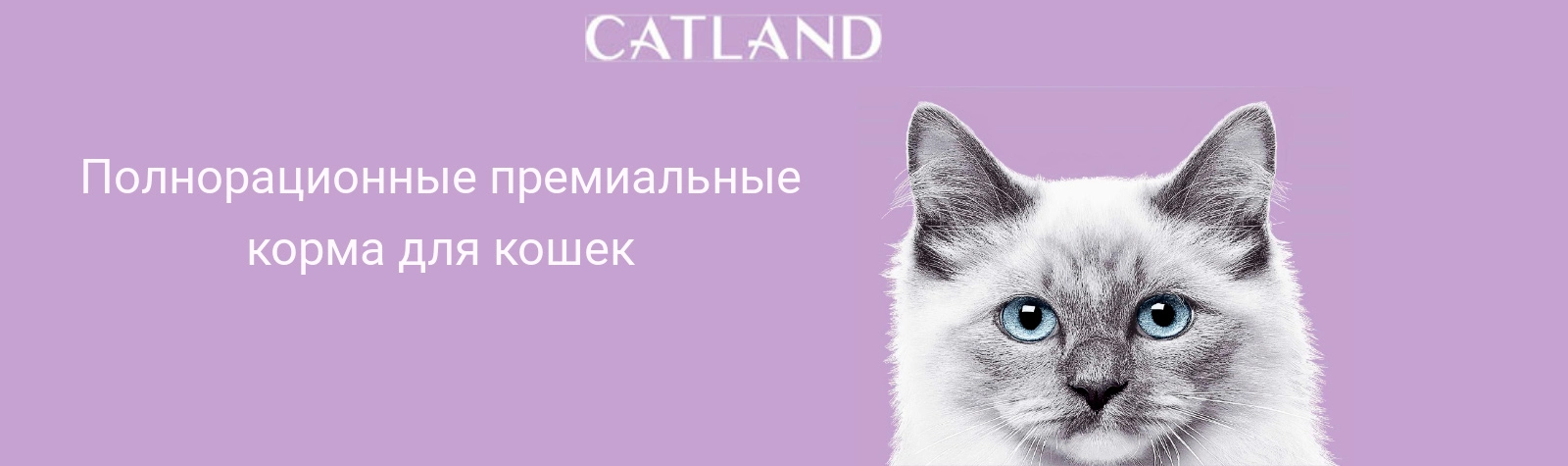 Catland